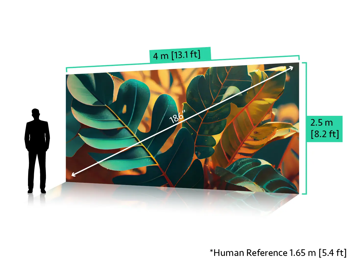 featured image of screen size